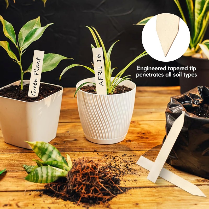 FLATRI 30Pcs Wooden Plant Labels, Outdoor Indoor Garden Markers and Name Tags for Seedlings Flowers Vegetables - Reused Waterproof Plant Label Stakes, 6 x 0.78in - Image 5